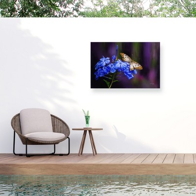 Lois Bryan White Peacock Outdoor Canvas Art