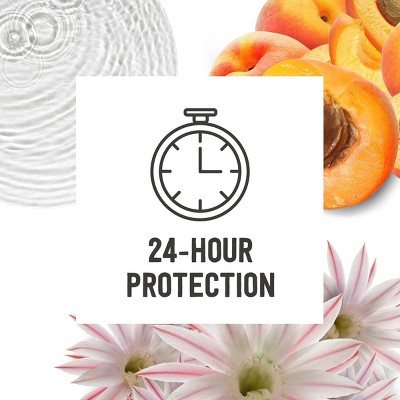 Schmidt's 24-Hour Natural Deodorant Stick - Woodsy/Earthy/Fresh Scent - 2.65oz