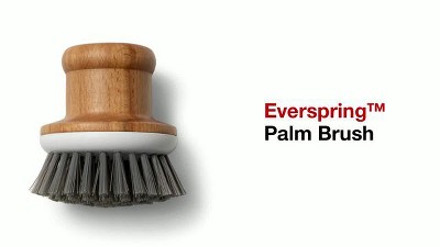Palm Brush - Everspring™ : Target