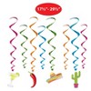 Beistle Fiesta Whirls, 17.5" - 29.5", (24/Pkg) Multicolored - 4 of 4