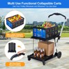 Collapsible Shopping Cart with Wheels, 198 LBS Capacity Portable Grocery Cart with Removable Storage Crate, 2 Tier Utility Cart for Home - 2 of 4