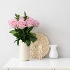 Dozen Fresh Cut Vibrant Roses - 3 of 4
