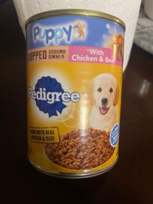 Pedigree can puppy food best sale