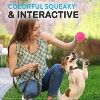 Pacific Pups Products - Dog Toy Balls 6 Pack - Variety Pack of Balls for Dogs - Dog Balls for Fetch - 4 of 4