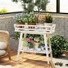 Artloge 30 Inch Tall White Wooden Plant Stand  2 Tier Bonsai Display Rack Planter Flower Holder with Storage Shelf for Living Room & Balcony Decor - 2 of 4