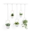 Umbra Triflora 5 Hanging Planter White/Brass: Indoor Ceiling Mount, Adjustable Ropes, Modern Decor - 2 of 4