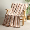 Amelie Home Striped Chenille Throw Blanket - 4 of 4