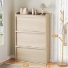 Acekool Flip Drawer Shoe Cabinet with Adjustable Shelves, Hidden Shoe Organizer for Entryway - 2 of 4