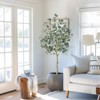 Coucheta 4/5/6ft Artificial Tree, Artificial Eucalyptus Tree in Pot, Modern Large Fake Plant for Indoor/Outdoor, Home&Office, Housewarming Gift Decor - 2 of 4