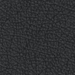 army academy black knights