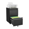 Fontoi Decorative Storage Cabinets, File Storage Cabinet with Lock, Vertical Organizer with 2 Drawers for Office, Black, 17.7"*26.57"*15.35" - 3 of 4