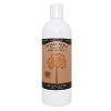 Plantlife Patchouli Foam Soap Value Set – Gentle, Moisturizing, Plant-Based for All Skin Types – Hand & Body Wash – 8.5-16oz - 3 of 4