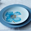 Noritake Colorwave Set of 4 Floral Accent Plates - 3 of 4
