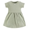 Hudson Baby Girls Cotton Dresses, Pink Dainty Floral - 3 of 3