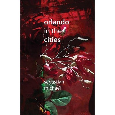 Orlando in the Cities - by  Sebastian Michael (Paperback)