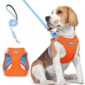 rabbitgoo Dog Harness Small Medium Sized and Leash Set, Step in Soft Light Reflective for Safe Easy Walking, Blue & Orange L - 1 of 1