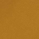 jacksonville jaguars