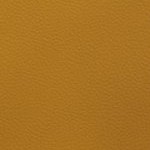 jacksonville jaguars