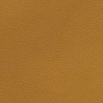 jacksonville jaguars