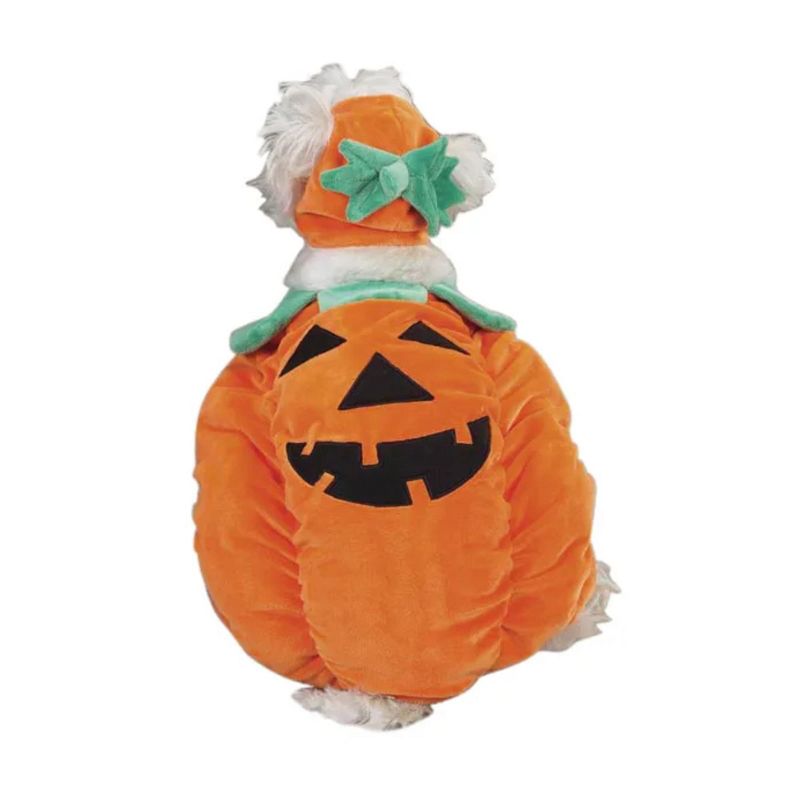 Zack & Zoey Pumpkin Pooch Dog Costume, 3 of 9