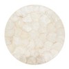 Saro Lifestyle Capiz Glow Placemat (Set of 4) - 2 of 4