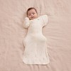 Love To Dream Baby Swaddle Up Transition Bag - Viscose from Bamboo 1.0 TOG Sleeveless Wrap - Lemons - 2 of 4