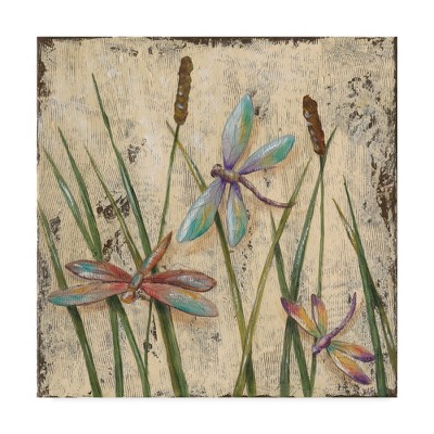 Multicolor Dragonfly Print on Canvas for Kids' Rooms