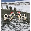 Kevins Gift Shoppe Ceramic Christmas Cow Salt and Pepper Shaker Set - image 2 of 3