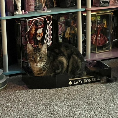 Guest review image 1 of 1, zoom in