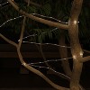 Nature Spring Outdoor Solar Rope Light - Solar-Powered Cable String - 100 Lights with 8 Modes for Patio, Backyard, Garden, 38.65' - Warm White - image 2 of 4