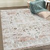 Vintage Entryway Runner Washable Non-Slip Rubber Backing Soft Non-Shedding Chenille Low Pile Carpet Retro Oriental Hallway Rug - 4 of 4