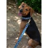 Country Brook Petz Deluxe Dog Collar - Critter Corner Collection - Made In The U.S.A. - 2 of 4