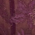hortensia