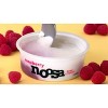 Noosa Raspberry Probiotic Whole Milk Yoghurt - 8oz - image 4 of 4