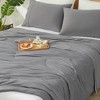 Cozy Bliss Dual-Sided Cooling Comforter Ultra-Soft, Breathable Cooling Blanket for Night Sweats, Lightweight & Silky Smooth - 2 of 4