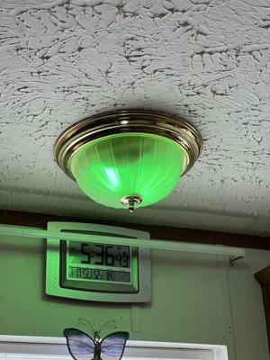 Guest review image 2 of 3, zoom in
