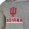 NCAA Indiana Hoosiers Boys' Gray Hoodie - 3 of 3