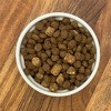 Muenster Beef and Pork Flavor Perfect Balance Kibble and Freeze Dried Dry Dog Food - 3.5lbs - 3 of 4