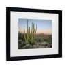 Trademark Fine Art - Alan Majchrowicz Organ Pipe Cactus at Dusk Matted Framed Art - 3 of 4