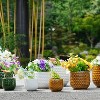 KTMBDW Plant Pots, Ceramic Planters with Drainage Holes,Nursery Planting Pot for Indoor Out Door Plants - 2 of 4