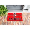 Evergreen NCAA Wisconsin Badgers Embossed Mat Cross Hatch Indoor and Outdoor Doormat - 3 of 4