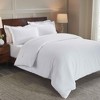 Flannel Cotton Modern Solid Fuzzy Duvet Cover Set With Pillow Shams by Blue Nile Mills - 2 of 4