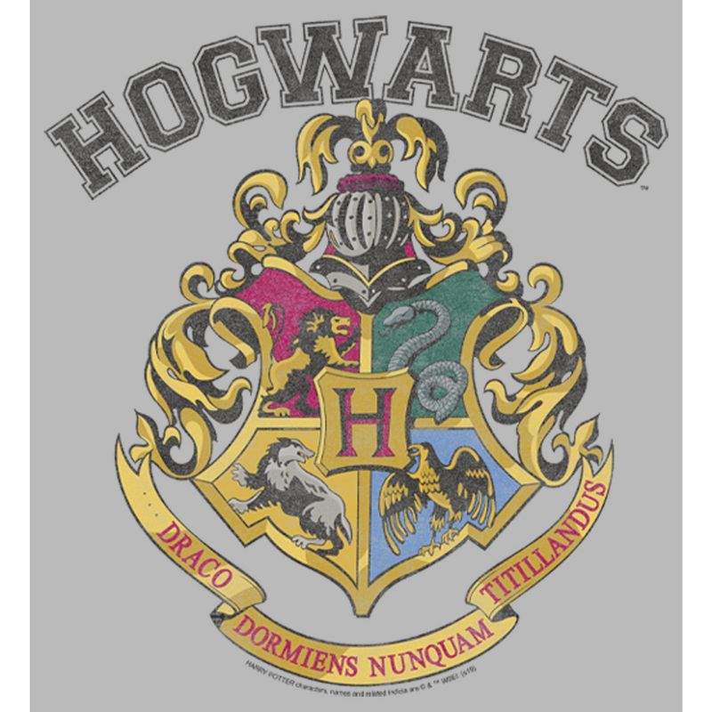 Juniors Womens Harry Potter Vintage Hogwarts Crest T-Shirt, 2 of 5