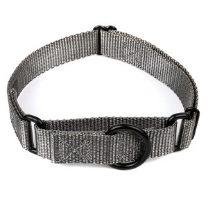 Country Brook Design Martingale Heavyduty Nylon Dog Collar - 1 of 4
