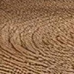 beige,natural walnut