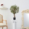 Nearly Natural 2-ft Olive Artificial Tree - image 3 of 4