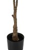 NicBex Artificial Tree Artificial Plant 52" Tall Artificial Rubber Tree with Black Pot, Room Decor for Home Office Foyer Porch - 2 of 4