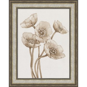 Amanti Art Poppies in Sepia II by Tim Otoole Wood Framed Wall Art Print - 1 of 4