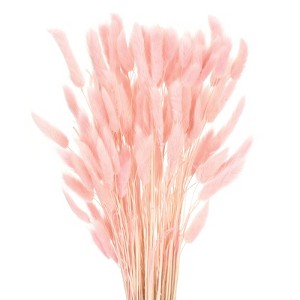 Unique Bargains Decorative Natural Dried Floral Bunny Tail Artificial Plants 120 Pcs - 1 of 4