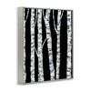 Stupell Industries Black White Modern Birch Trees Dark Forest Framed Giclee Art, Gray, 11" x 14" - 2 of 4